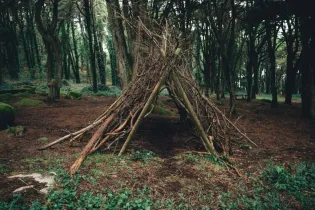 26-cabane - shutterstock