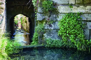 27-CHANGE_LAVOIR - CD53