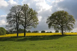 28-CP-Dominique_VERNIER-10007460 - _Mayenne_Tourisme