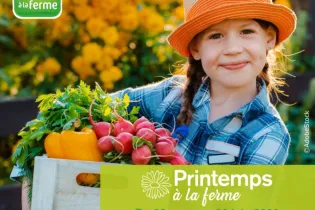 2026_PRINTEMPS BAF - Instagram - 1 - Printemps à la ferme - AbodeStock