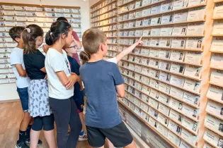 La Vigie Enfants - La Vigie 