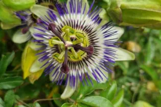 visite sensorielle 1 - ©Bénédicta