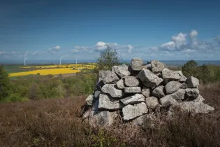 Pourquoi la lande ? - Sz'PHOTOGRAPHIE
