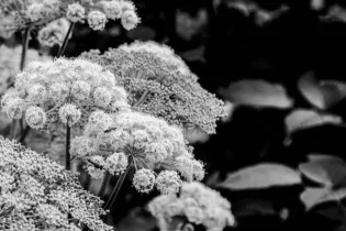 Atelier - Émilie Deletang