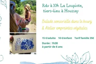 Copie de Copie de Partage jasmine - 1 - ©