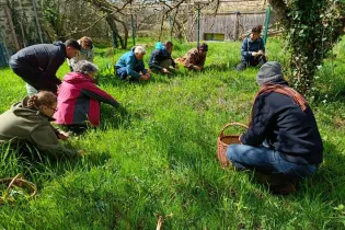 en cueillette - Marie Cloteau-Girard