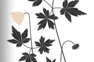 l'herbier d'émilie vast - ©