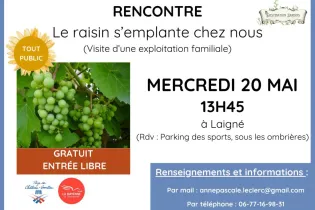 Destination Jardins - affiches A4 - Le raisin s'emplante - Prée d'Anjou