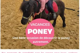 AFFICHE STAGE été rose - F.MARIEL