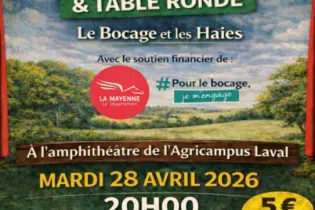 Affiche spectacle et table ronde - COUDRAY Benoit