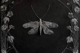 Expo Les Arcis 2026 - ©Simon PAVEC - ©Simon PAVEC