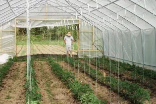 jardiflore Evron - © Jardiflore53