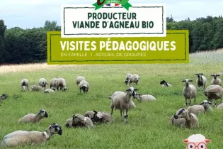 Visuel d'illustration - 1 - ©Villette en direct