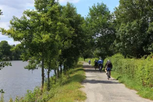 54-CP-Chemin_de_halage-La_Mayenne_(riviere)- - Dominique_VERNIER