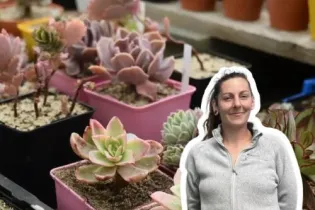 Atelier plantes succulentes - Epicerie de Fontaine-Daniel