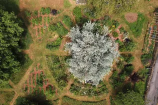 Oasis Gourmande vue du ciel - Stéphane SENAN