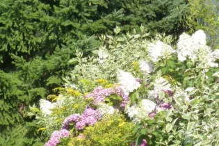 Fleurs et paysages (6) - Massifs et jardin
