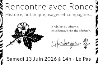 Rencontre avec une plante médicinale - L'Herborigène