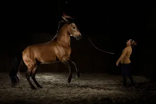 Des chevaux et des hommes - Éric MÉDARD