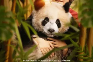 Affiche-14 - Gaumont Distribution