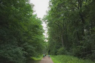 randonnée  - alin-serban