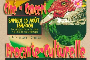 202608 Boucan Canard ciné concert Carelles - Projet Cluster