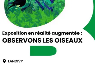 Affiche expo Observons les oiseaux - Réseau Lecture