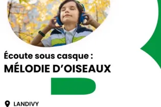 Affiche écoute d'oiseaux - Réseau Lecture