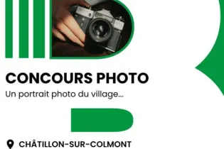 Afficher appel à clichés concours photo "la vie à Châtillon" - Réseau Lecure