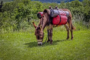 ane-trekking_maxmann_pixabay - Pixabay