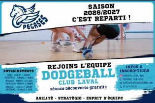 Dodgeball  - AP 