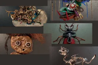 Cabinet curiosites - aaa53