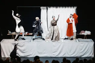 Molière et ses masques  - Alban van Wassenhov