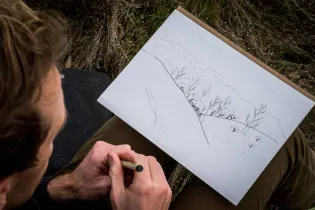 dessin vie sauvage - Eli Zaturanski photography