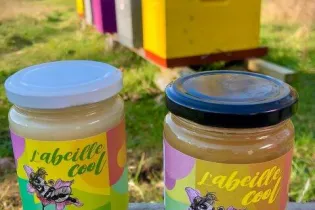 L'abeille cool - ©L'abeille cool
