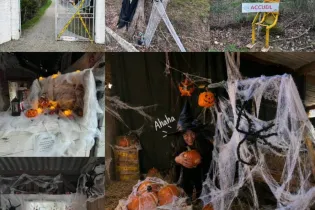 856025061_1409774524143100_8043698983091254053_n - ©Arche desnoë