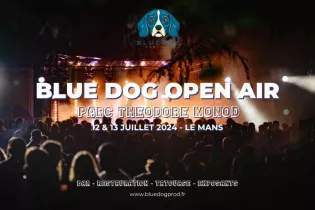 FMA72-Blue Dog - Blue dog