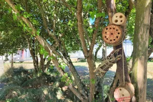 Hotel à insectes - ©Ile Moulinsart