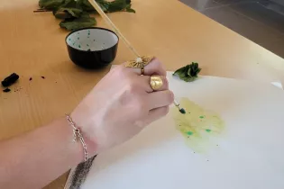 Palette Végétale2 - ©Ile Moulinsart