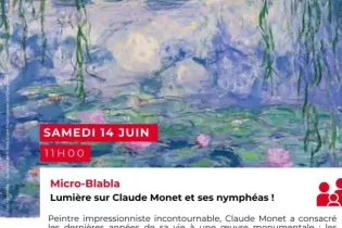Micro-Blabla : Claude Monet - Les nymphéas - Claude Monet © RMN Grand Palais (musée de l’Orangerie) 