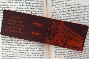 fablab - Réseau des médiathèques du Pays sabolien