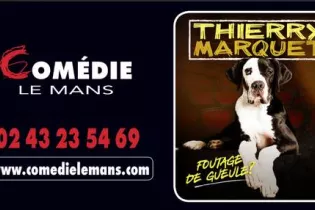 thierry marquet - comedielemans