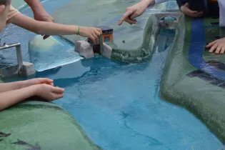 rivière (Medium) (2) - Ile MoulinSart