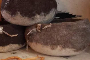 635408462_1229838022625008_2269672666751407457_n - Arche de la nature