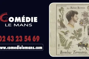Rémi Boyes - Comédie Le Mans