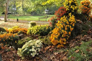 Vue dans le jardin de Tessé - Ville du Mans