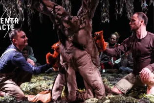 Sous l'arbre - © Virginie Meigné