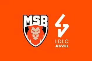 msb ldlc asvel - MSB