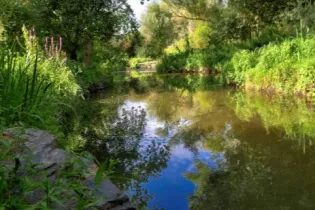 Rendez-vous au jardin du Parc Balzac_Angers_1 - Angers Patrimoine