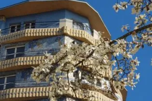 Bulles de Culture Matinales Maxi_Angers_1 - Odile Wibault